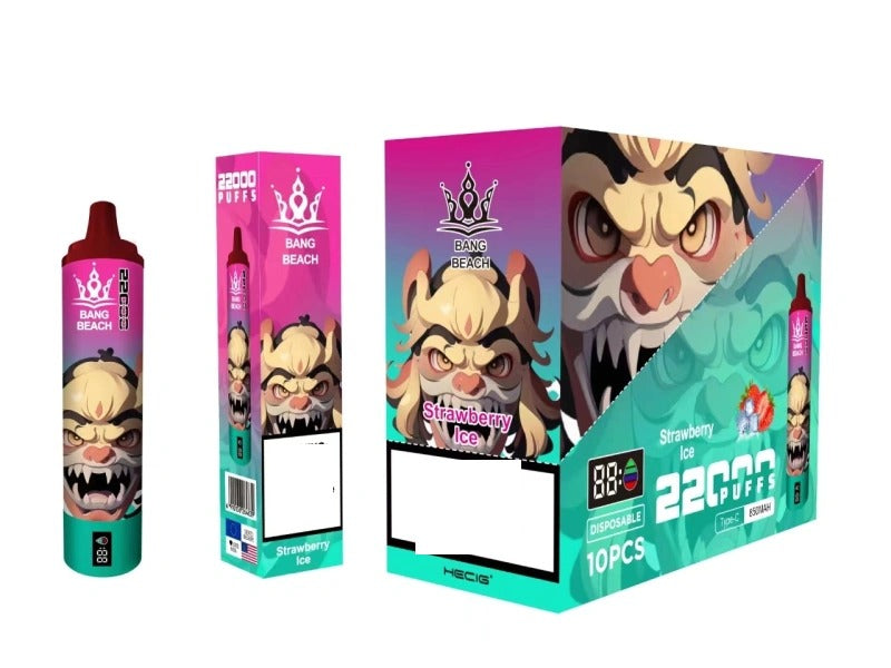 BANG BEACH 22000 Puffs Rechargeable Disposable Vape Wholesale Bulk Buy