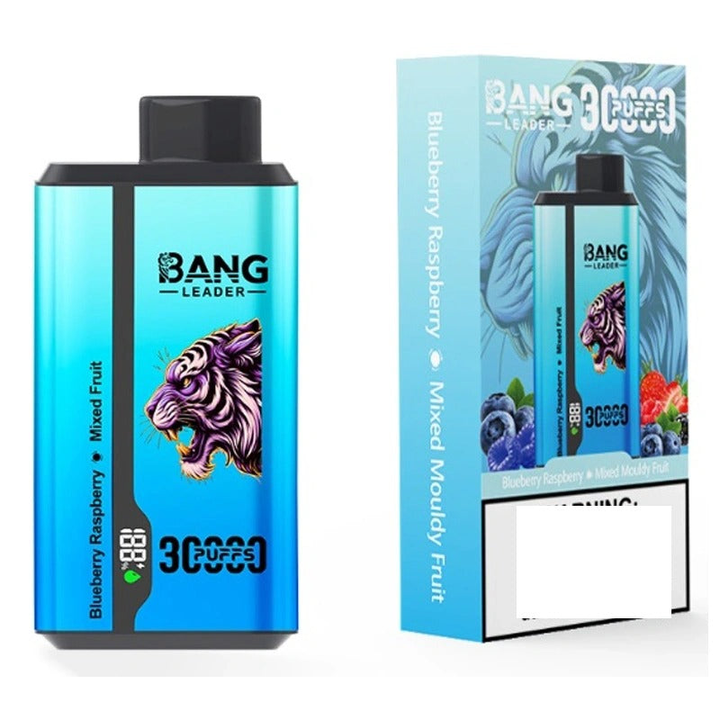 BANG LEADER 30000 Puffs Double Tastes Bulk Buy Rechargeable Disposable Vapes Wholesale