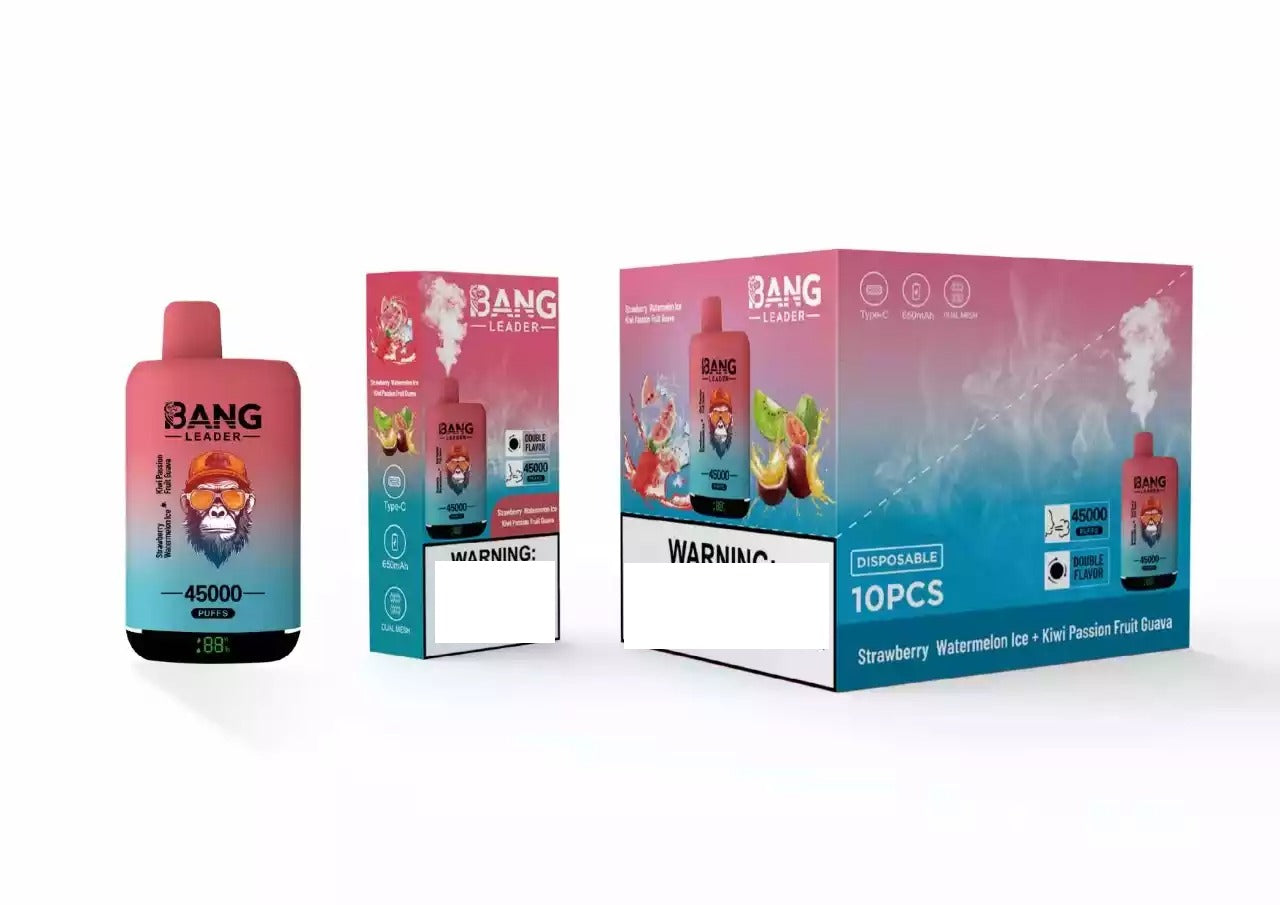 BANG LEADER 45000 Puffs Dual Tastes Bulk Buy Rechargeable Disposable Vapes Wholesale