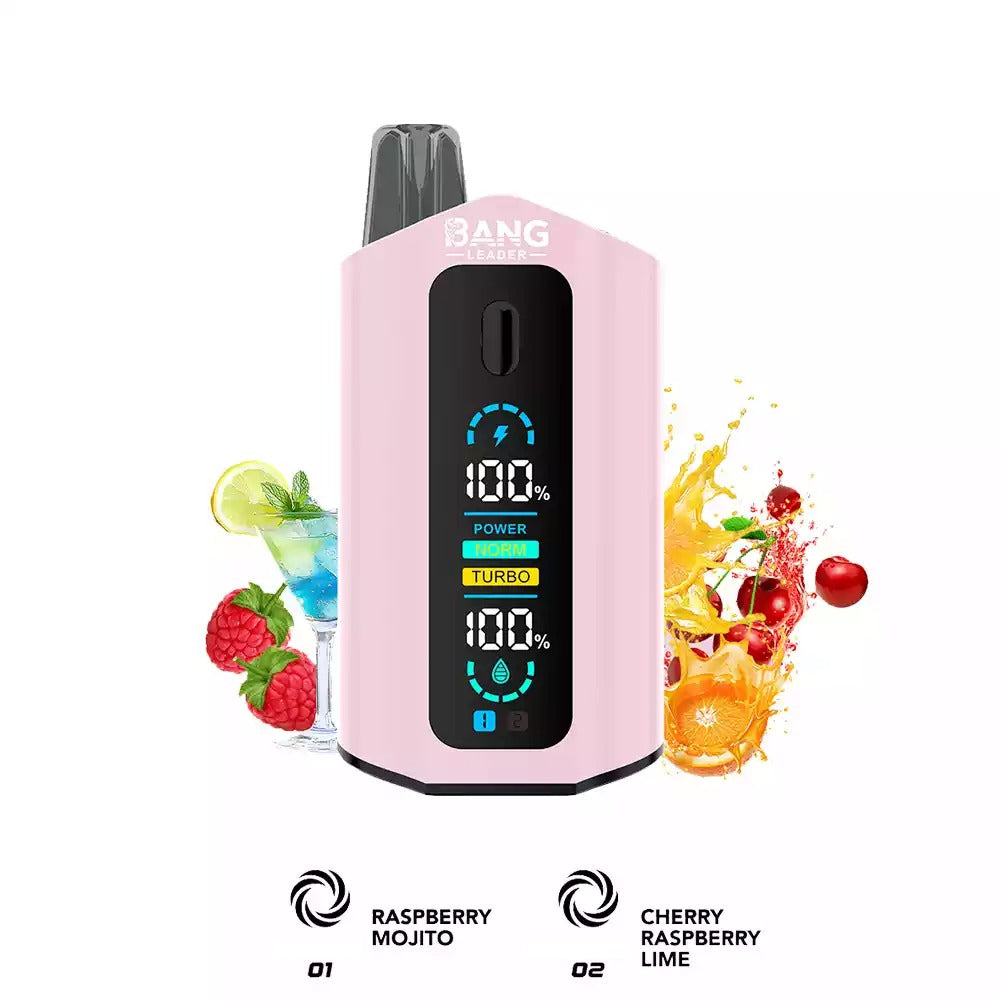 BANG LEADER 50000 Puffs Dual Tastes LCD Screen Bulk Buy Rechargeable Disposable Vapes Wholesale