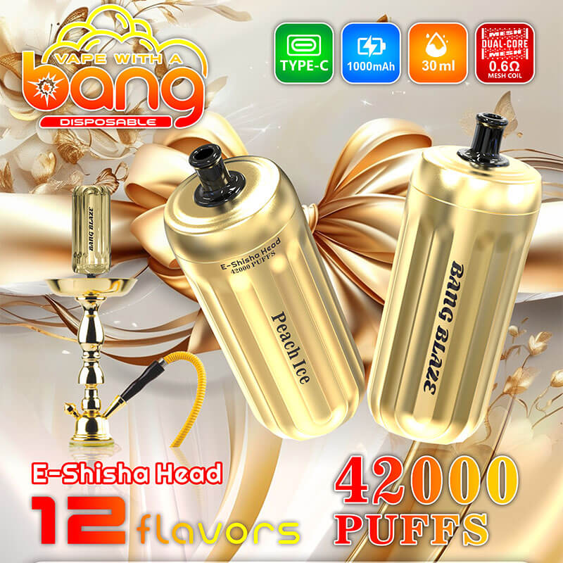Bang Blaze E-Shisha Head 42000 - 30ml E-Liquid, 1000mAh Battery 12 Flavors
