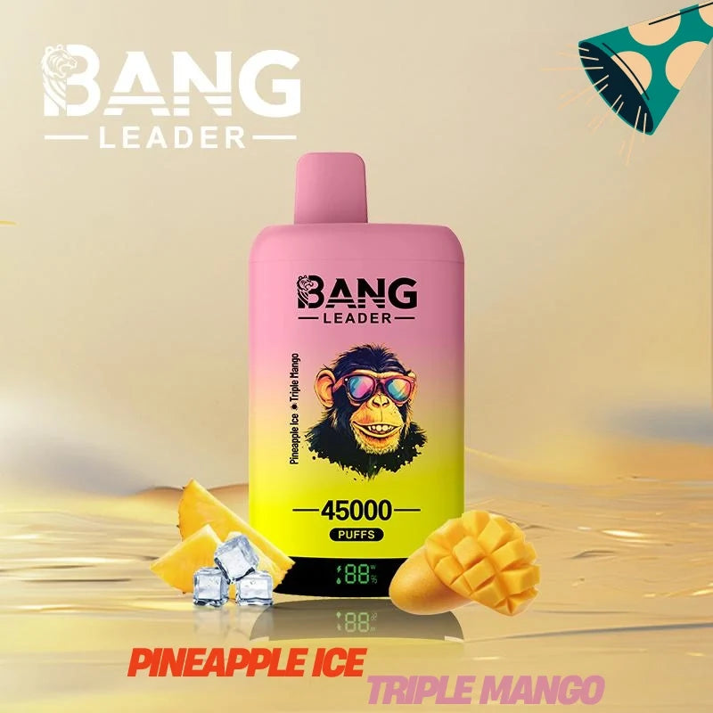 Bang Leader 45000 Puffs Dual Flavors Factory Direct Supply Bulk Price-650mAh Battery. Multiple Nicotine 12 Flavors