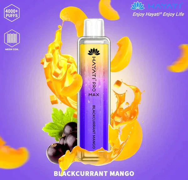 Hayati Pro Max 4000 Puffs Box Of 10