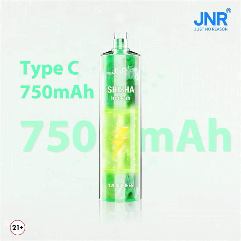 JNR Shisha Hookah 12000 Puffs 24ml 750mAh Disposable vape 16 flavors