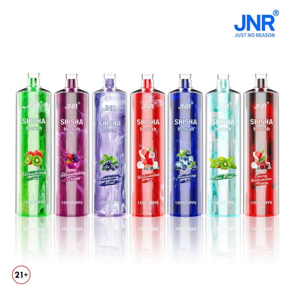 JNR Shisha Hookah 12000 Puffs 24ml 750mAh Disposable vape 16 flavors