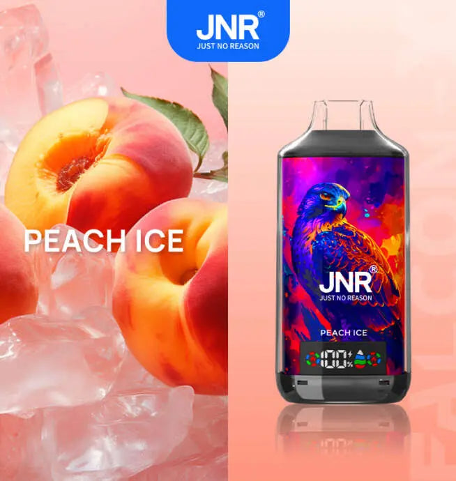 JNR Falcon X 18000 Puffs Disposable Vape – Vapes Europe 11 Flavors