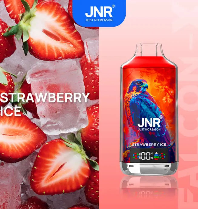JNR Falcon X 18000 Puffs Disposable Vape – Vapes Europe 11 Flavors