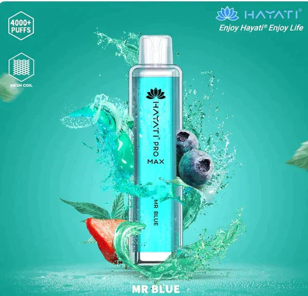 Hayati Pro Max 4000 Puffs Box Of 10