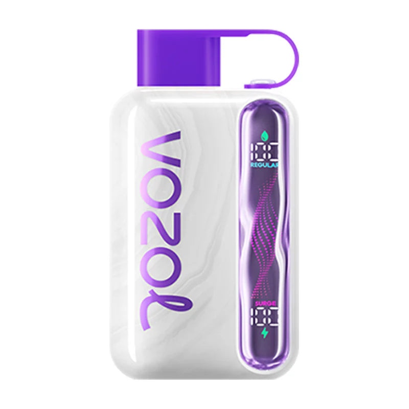 VOZOL STAR 40000 Puffs Dual Mesh LCD Screen Bulk Buy Rechargeable Disposable Vapes Wholesale