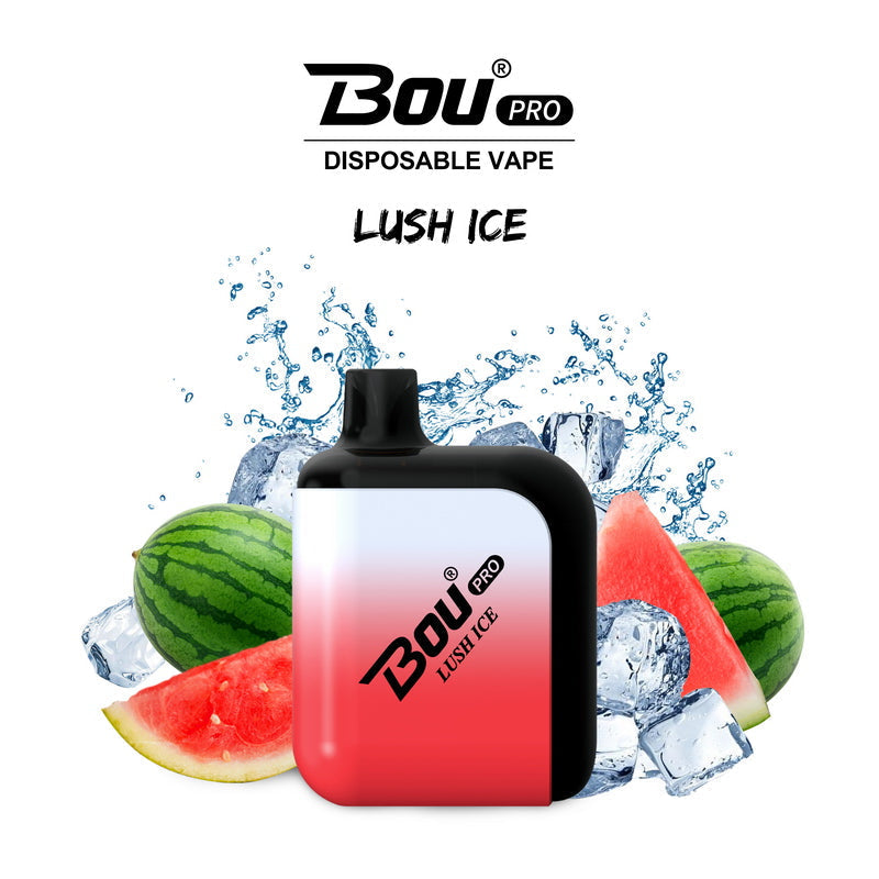 Bou Pro 7000 Kit Rechargeable