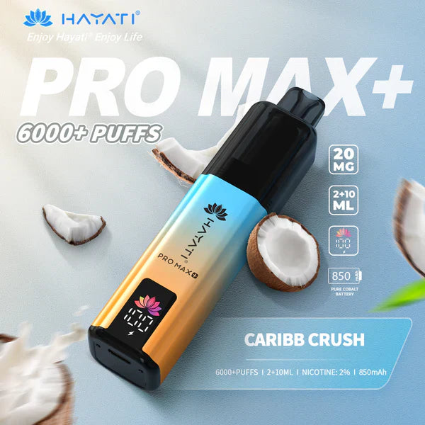 Hayati Pro Max+ 6000 Puffs Disposable Vape (Box of 10)