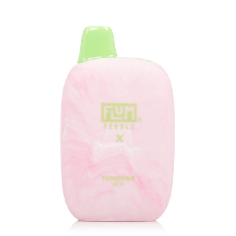 Flum Pebble X Disposable Vape 5%