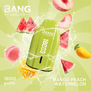 Bang Leader 18K Disposable Vape – Pure Flavor | 18.000 Puffs | Porsche Design | Smooth Taste