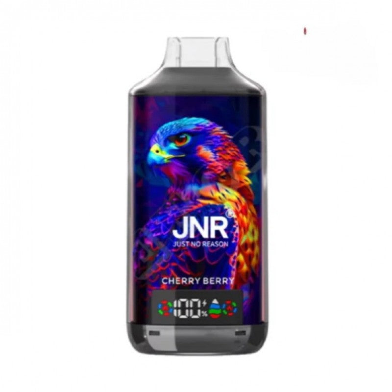 JNR 18000 Puffs Vape Pen E Cigarette 24ml 950mAh 11 Flavors 18K Disposable Vape