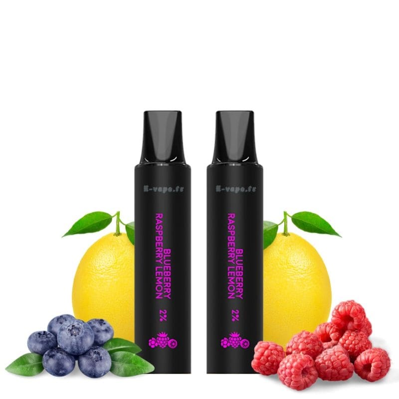 LOST VAPE Rebar Next C2 - Pack de 2 Cartouches 2 ml 600 Puffs