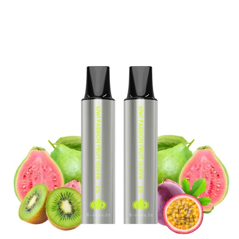 LOST VAPE Rebar Next C2 - Pack de 2 Cartouches 2 ml 600 Puffs