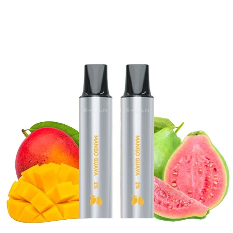LOST VAPE Rebar Next C2 - Pack de 2 Cartouches 2 ml 600 Puffs