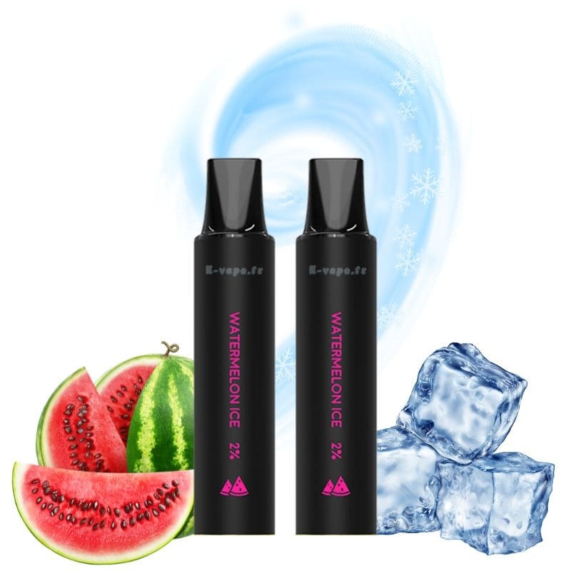 LOST VAPE Rebar Next C2 - Pack de 2 Cartouches 2 ml 600 Puffs