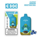 AIVON0 13000 Puffs Disposable Vape 20ml 500mAh 10 Flavors