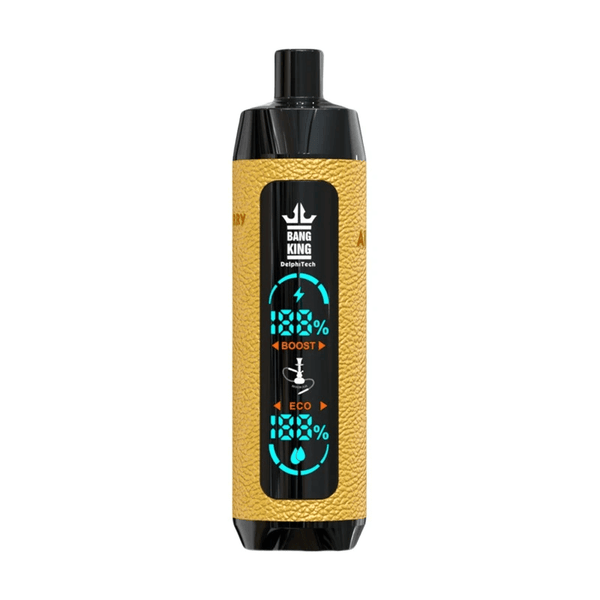 JNR Shisha 12000 Puffs Disposable Vape 24ml 750mah 10 Flavors