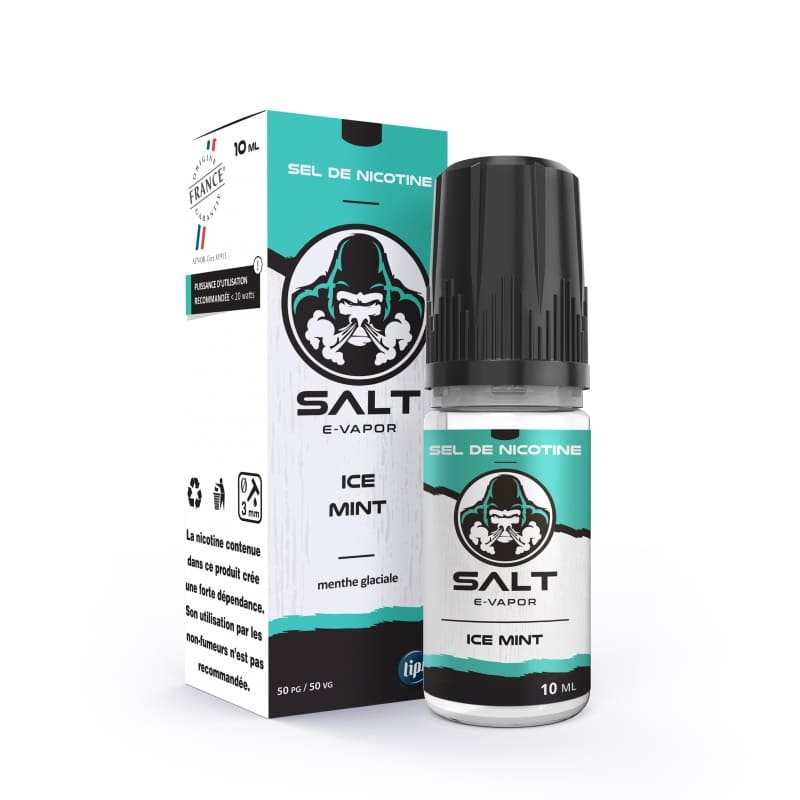 SALT E-VAPOR Ice Mint – Sel de Nikotin 10 ml