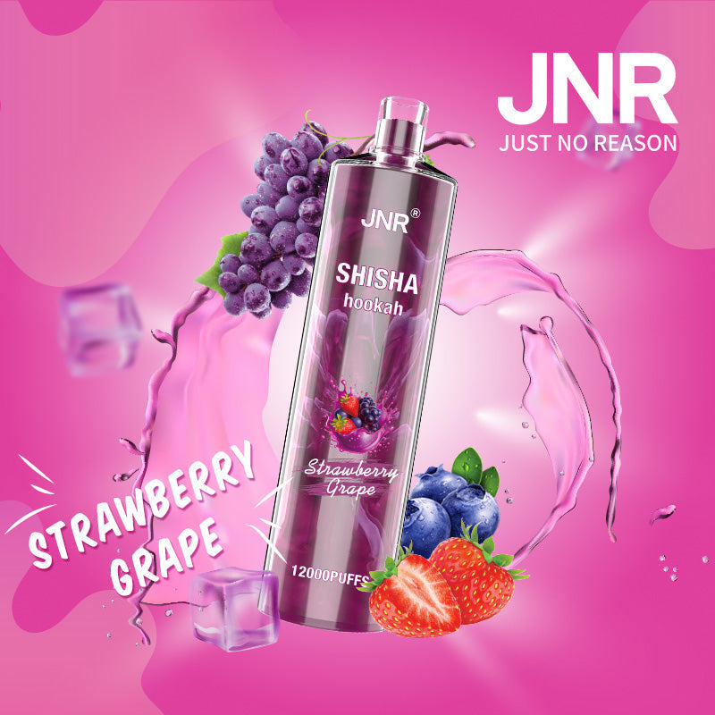 JNR Shisha Hookah 12000 (10er-Packung) 24 ml 750 mAh Einweg-E-Zigarette 16 Geschmacksrichtungen