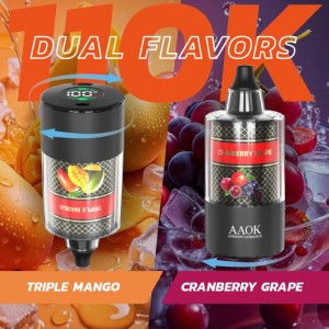 AAOK elektronische Wasserpfeife (E-Shisha) 110.000 Züge 60 ml Pod-System Wasserpfeife Vape 