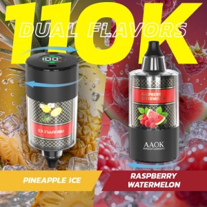 AAOK elektronische Wasserpfeife (E-Shisha) 110.000 Züge 60 ml Pod-System Wasserpfeife Vape 