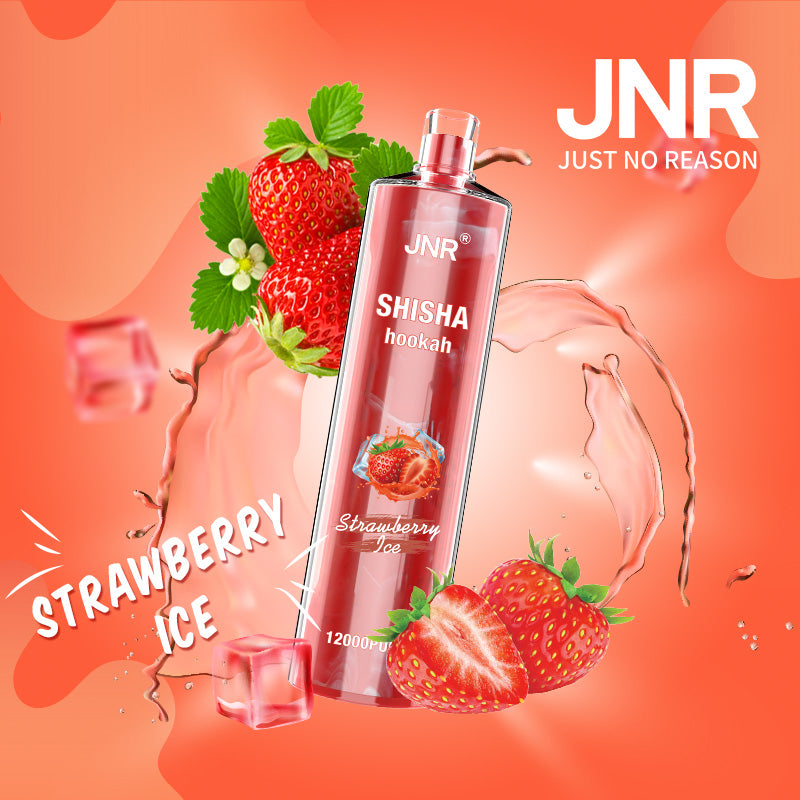 JNR Shisha Hookah 12000 (10er-Packung) 24 ml 750 mAh Einweg-E-Zigarette 16 Geschmacksrichtungen