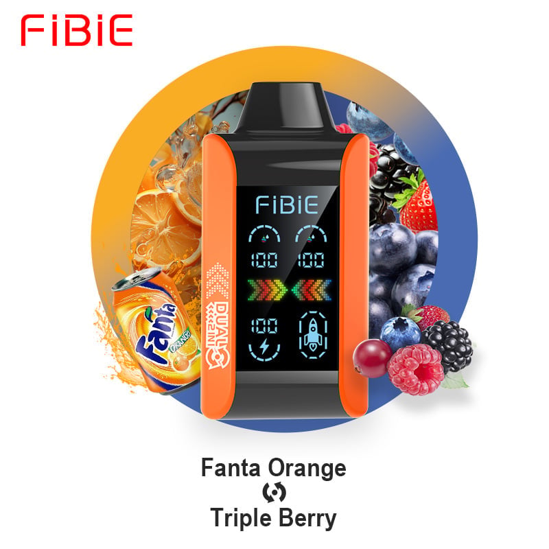 FIBIE 15000 Dual Flavors (Zwei Geschmacksrichtungen, über 100.000 positive Bewertungen) 