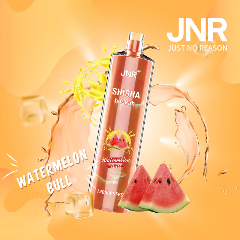 JNR Shisha Hookah 12000 (10er-Packung) 24 ml 750 mAh Einweg-E-Zigarette 16 Geschmacksrichtungen