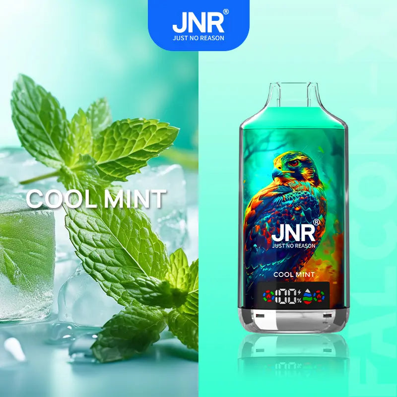 JNR 18000 Puffs Vape 18K Disposable Vape Pen E Cigarette  24ml 950mAh  11 Flavors