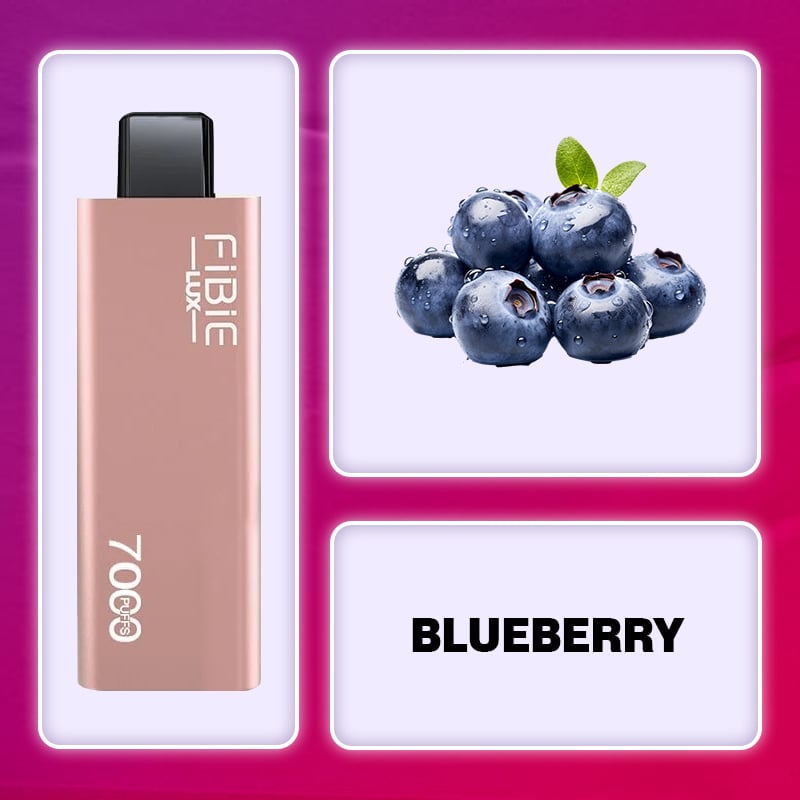 BLUEBERRY- FIBIE 7000 Züge Einweg-E-Zigarette (7000 Züge)