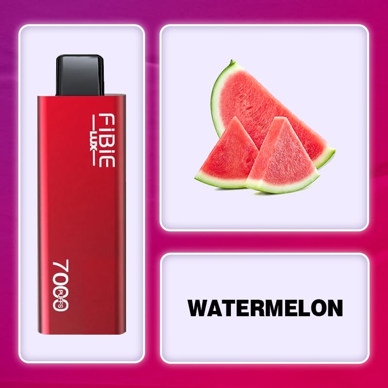 WATERMELON -FIBIE 7000 Züge Einweg-E-Zigarette (7000 Züge) 