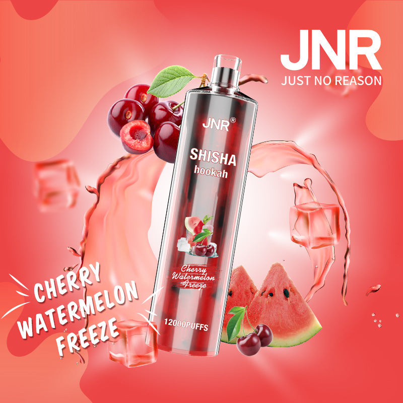 JNR Shisha Hookah 12000 (10er-Packung) 24 ml 750 mAh Einweg-E-Zigarette 16 Geschmacksrichtungen