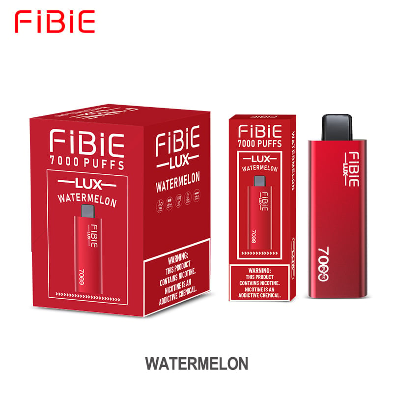 WATERMELON -FIBIE 7000 Züge Einweg-E-Zigarette (7000 Züge) 