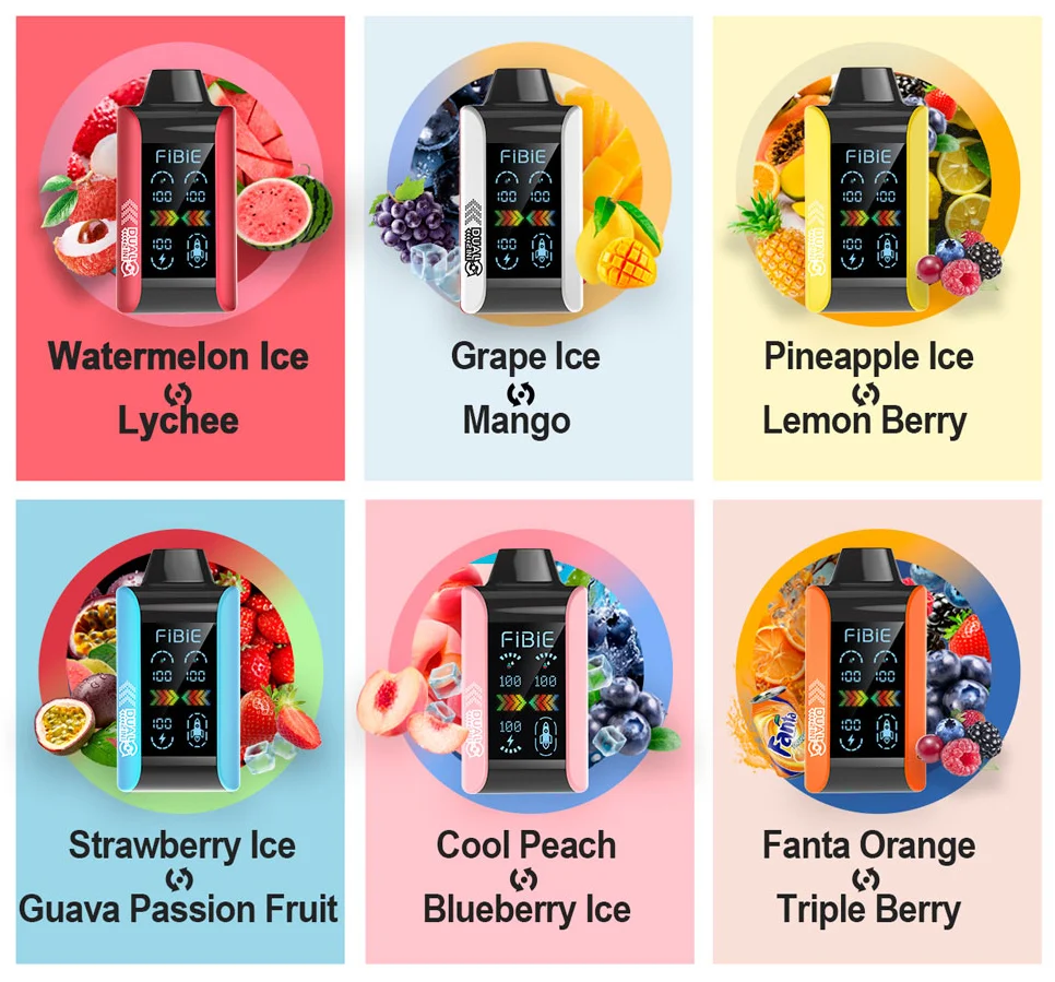 FIBIE 15000 Dual Flavors (Zwei Geschmacksrichtungen, über 100.000 positive Bewertungen) 