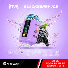 ATVS 120K Puffs Shisha Hookah Wholesale Disposable Vape 120000 Hookah Kit Best Vaporizer