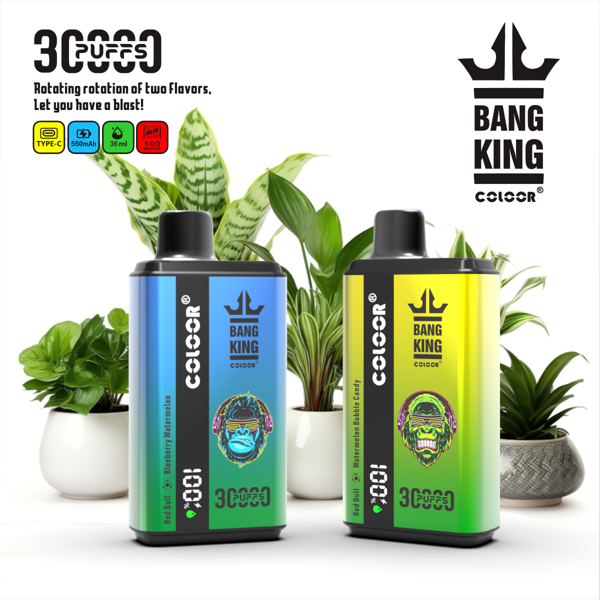 Bang King 30000 Puffs Disposable Vape  12 Flavors-850mAh Battery. 30ml E-liquid. Multiple Nicotine 12 Flavors