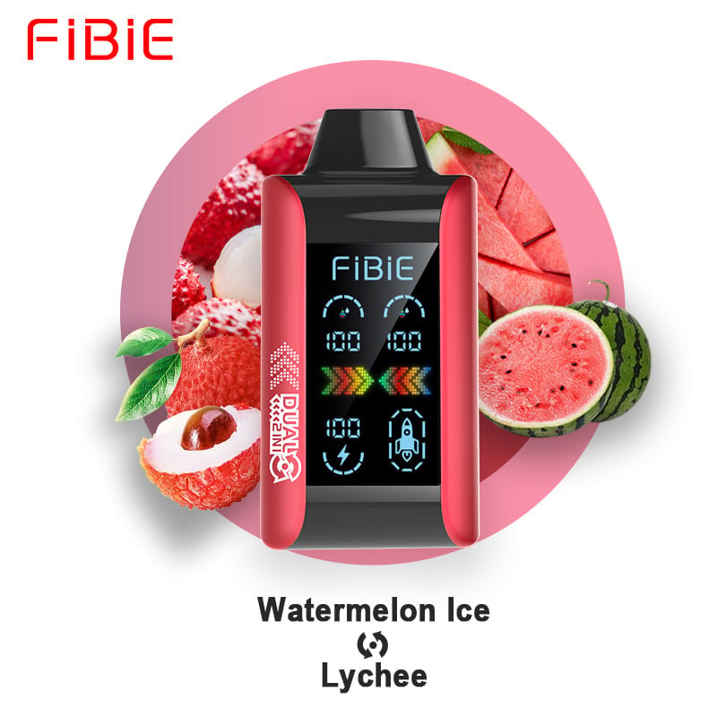 WASSERMELONEN-EIS &amp; LITSCHI - FIBIE 15000 ZÜGE Einweg-E-Zigarette mit zwei Geschmacksrichtungen (15000 ZÜGE) 