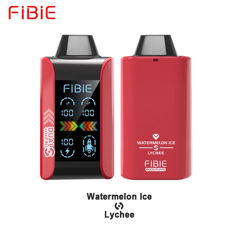 WASSERMELONEN-EIS &amp; LITSCHI - FIBIE 15000 ZÜGE Einweg-E-Zigarette mit zwei Geschmacksrichtungen (15000 ZÜGE) 