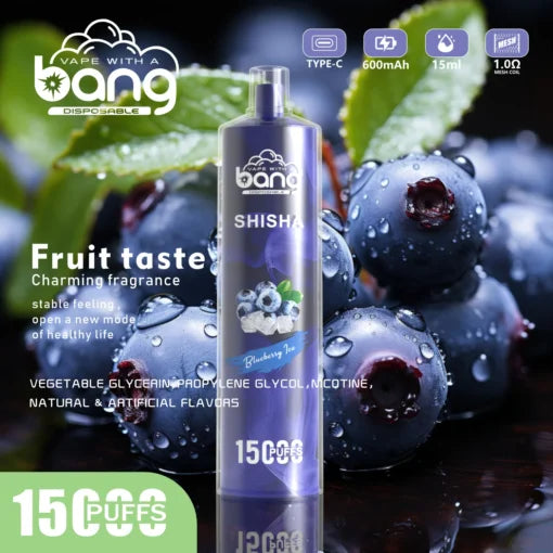 Bang 15000 Puffs Vape 15K Disposable Vape Pen E Cigarette Prefilled 25ml 600mAh Disposable Vape 12 Flavors