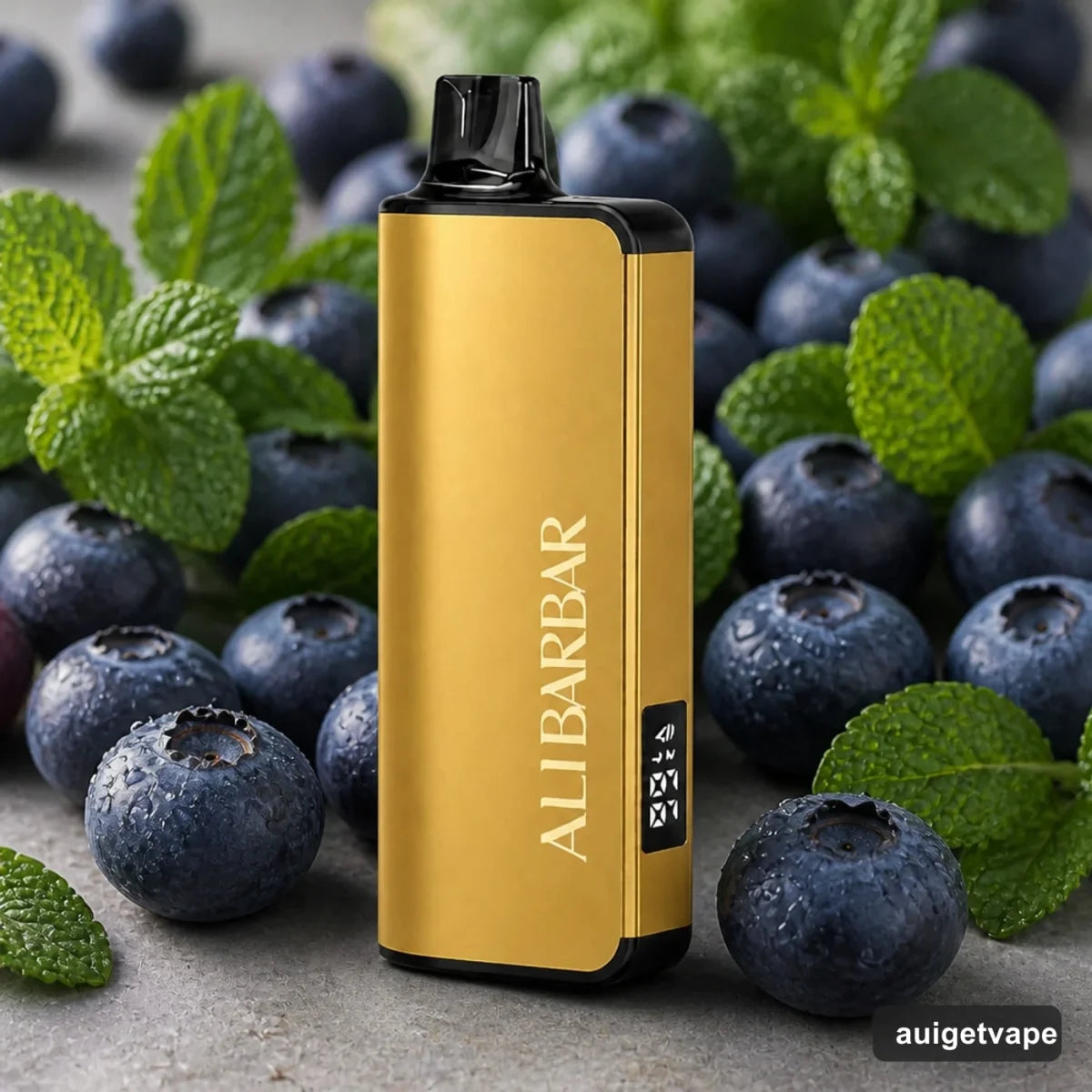 Local Stock Fast AUS Shipping Alibarbar Ingot 9000 Puffs Disposable Vape