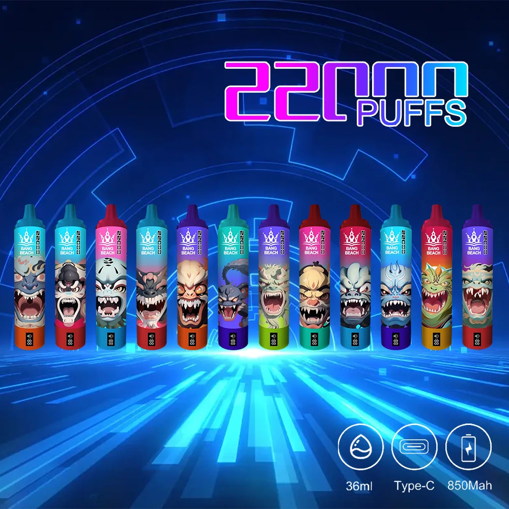 BANG BEACH 22000 Puffs Rechargeable Disposable Vape Wholesale Bulk Buy