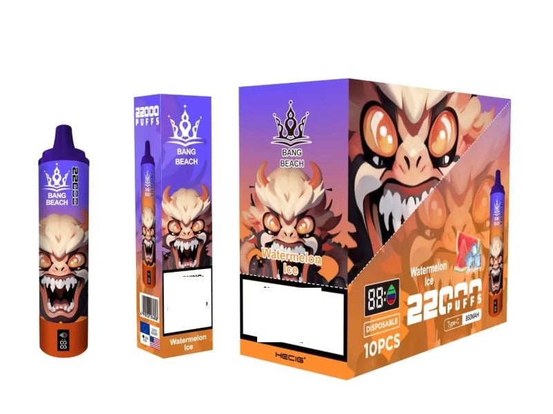 BANG BEACH 22000 Puffs Rechargeable Disposable Vape Wholesale Bulk Buy