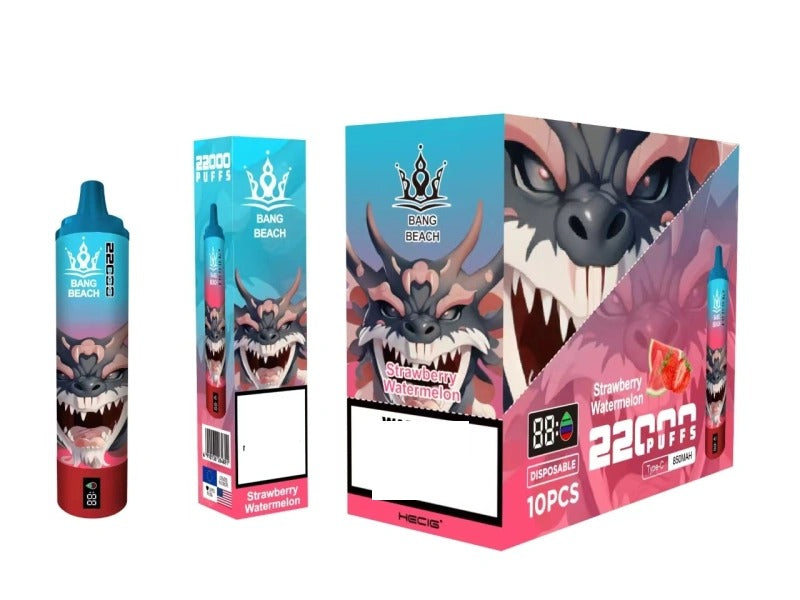 BANG BEACH 22000 Puffs Rechargeable Disposable Vape Wholesale Bulk Buy