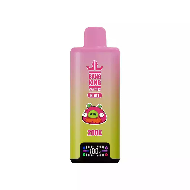 BANG KING DSK073 200K 8 IN 1 Tastes Disposable Vapes Wholesale Bulk Buy High Capacity 200000 Puffs Rechargeable
