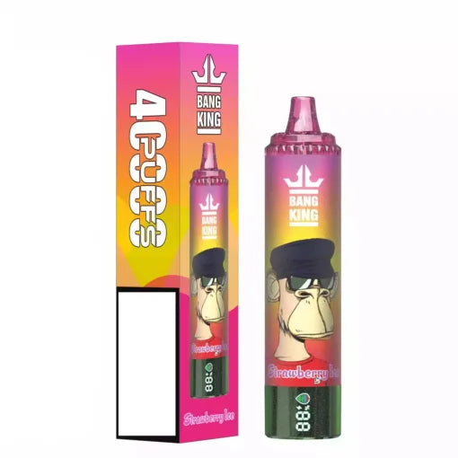 BANG KING 40000 Puffs DSK059 Bulk Buy Rechargeable Disposable Vapes Wholesale