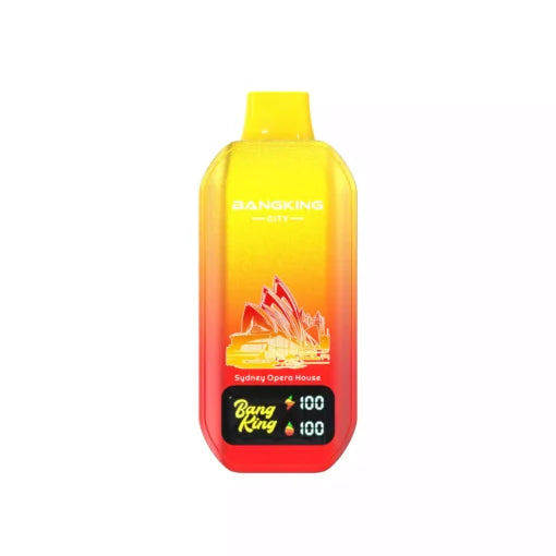 BANG KING 50000 Puffs CITY DSK044 Bulk Buy 50K Rechargeable Disposable Vapes Wholesale