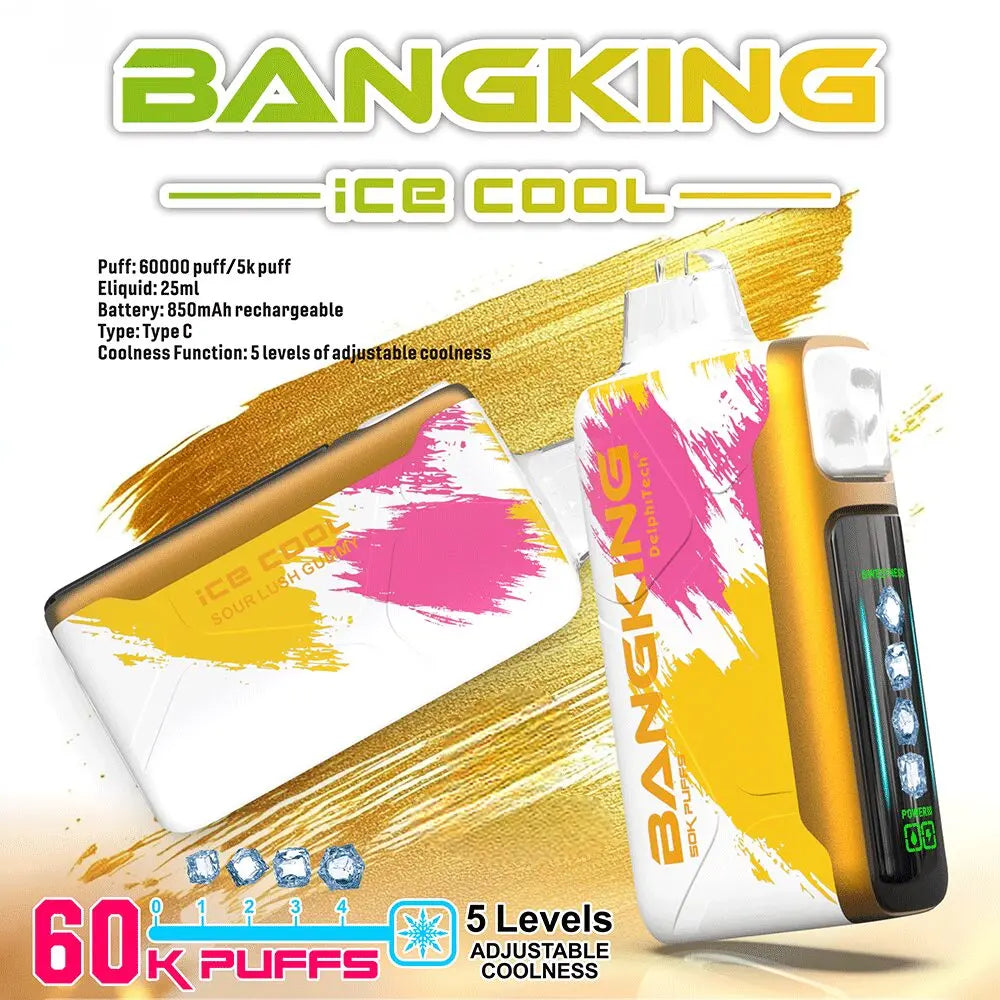 BANG KING 60000 Puffs DSK048 Ice Cool Bulk Buy 60K Rechargeable Disposable Vapes Wholesale
